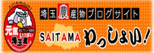 SAITMAわっしょい！